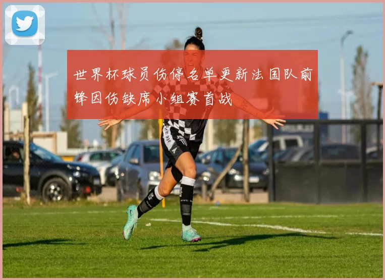 世界杯球员伤停名单更新法国队前锋因伤缺席小组赛首战