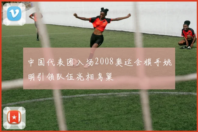 中国代表团入场2008奥运会旗手姚明引领队伍亮相鸟巢