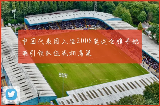 中国代表团入场2008奥运会旗手姚明引领队伍亮相鸟巢