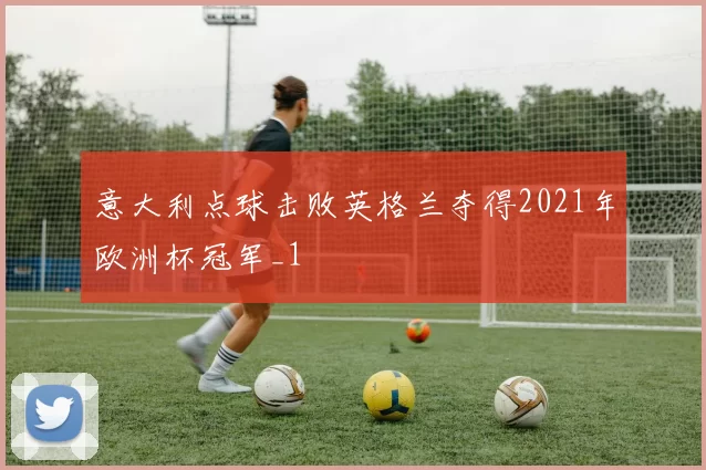 意大利点球击败英格兰夺得2021年欧洲杯冠军_1